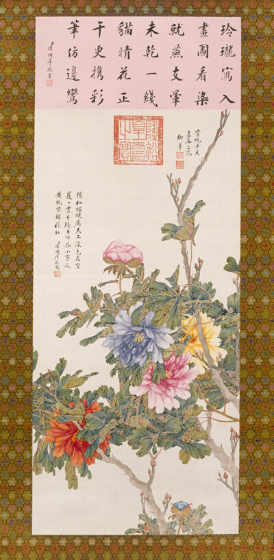 Tree Peonies in Full Bloom.