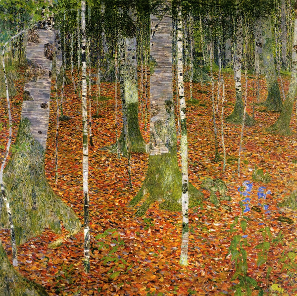Birch Forest.