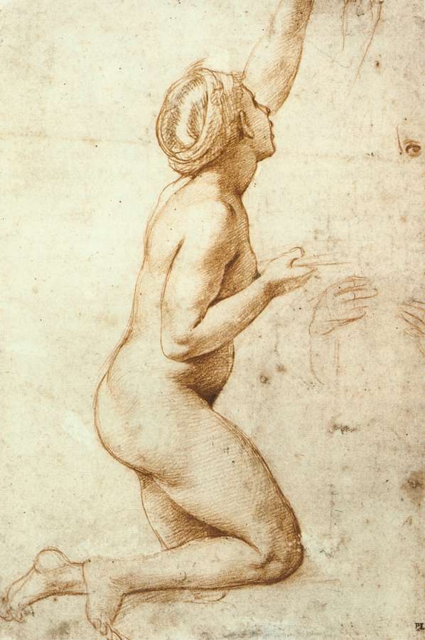 Kneeling Nude Woman.