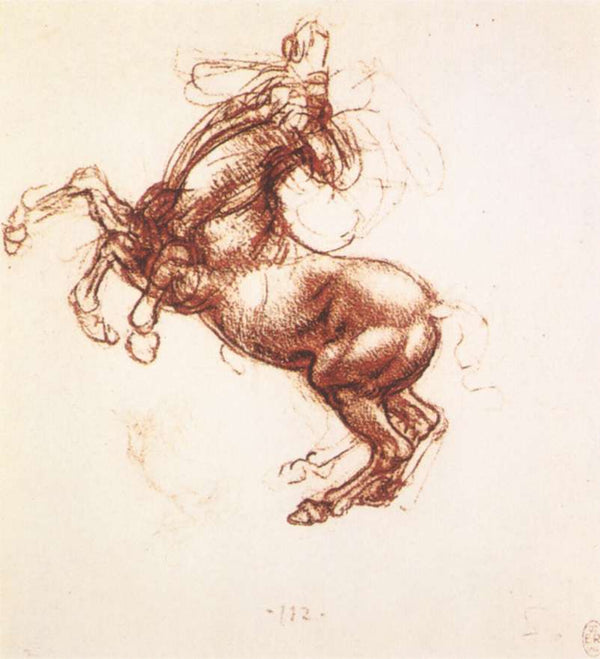 Rearing horse.