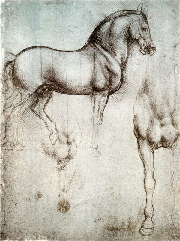 Study of horses.